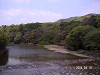 s_PICT0021_thumb.png